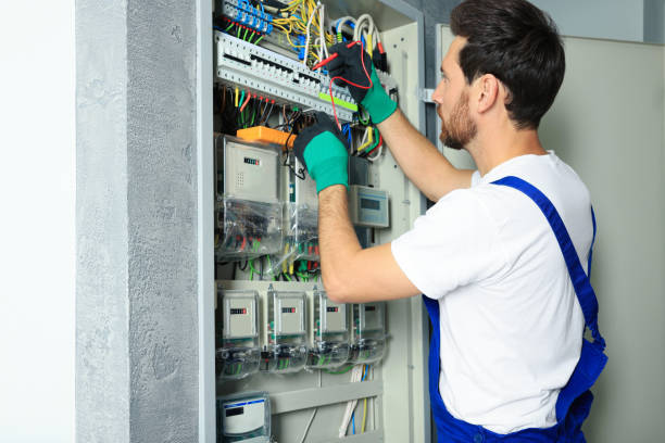 Best Electrical System Inspection  in Rosita, TX